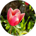 Claudia Grisales profile picture